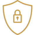 Icon 7